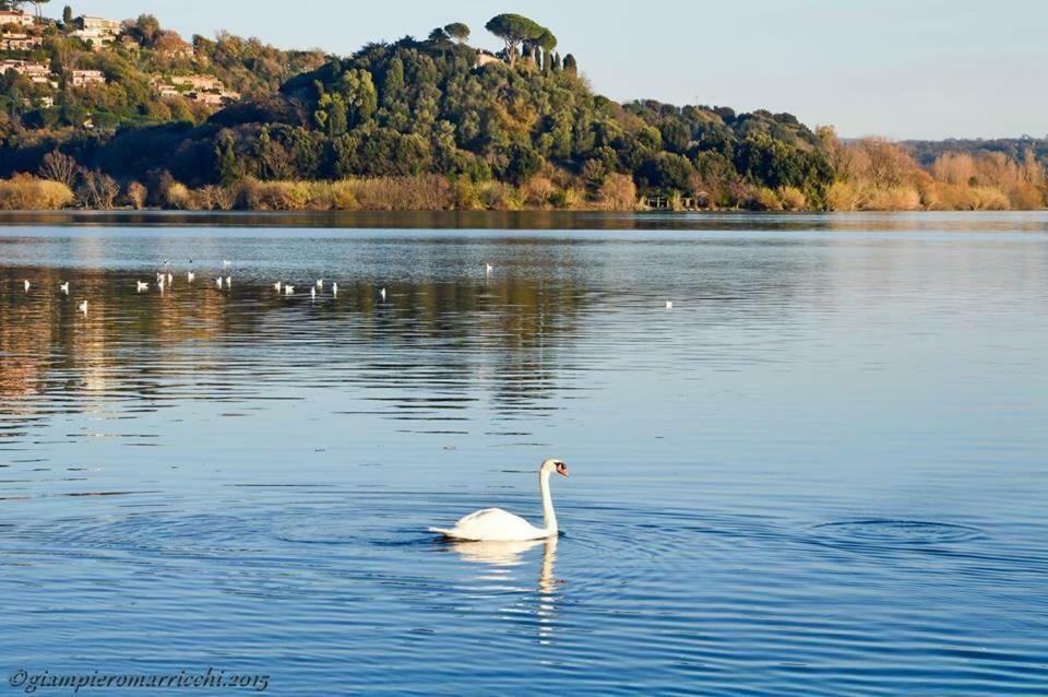 Pepe Apartment -Lago Di Bracciano Trevignano Romano Buitenkant foto
